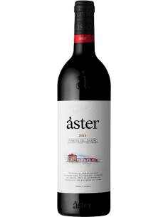 ASTER CRIANZA 2015 MAGNUM