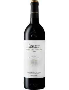 ASTER FINCA EL OTERO 2018
