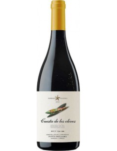 CUESTA DE LOS OLIVOS MENCIA 2021