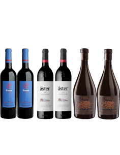 SELECCION RIBERA DEL DUERO